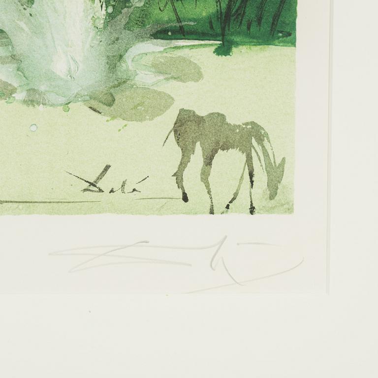 Salvador Dalí, lithograph in colours, 1970, signed LVII/CXXV.