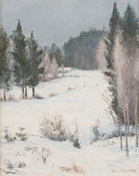 Aares Salli, Vintervy.