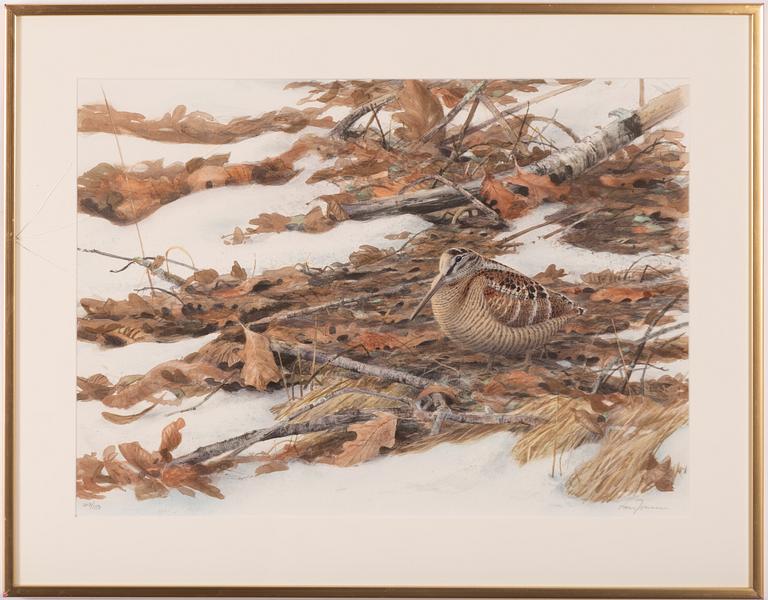 Lars Jonsson, Woodcock in a Spring Winter Landscape.