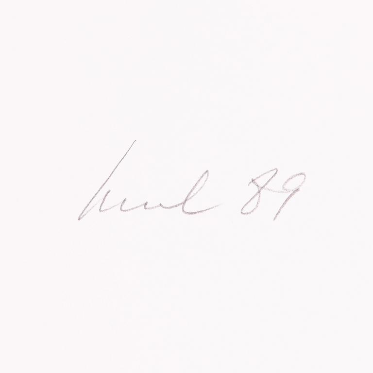 Raul Meel, "Windows and Landscape 5".