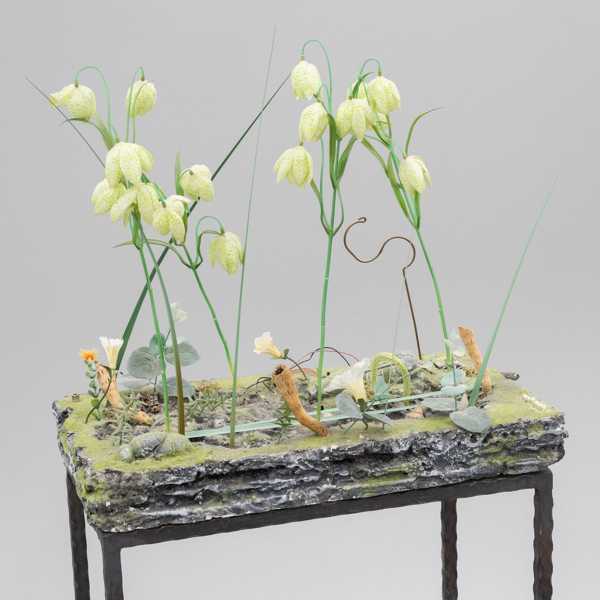 Veit Laurent Kurz, "Pond#2". (Niche Displacement Series).