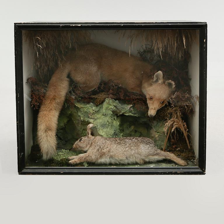 DIORAMA, 1900-talets första hälft.