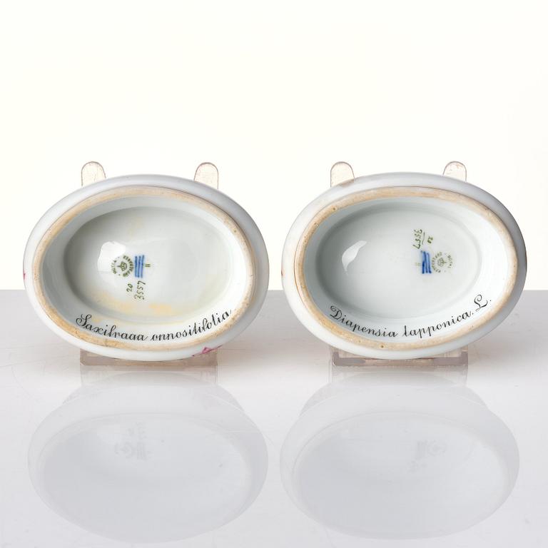 Saltkar, ett par, porslin. "Flora Danica", Royal Copenhagen, Danmark, 1900-tal.