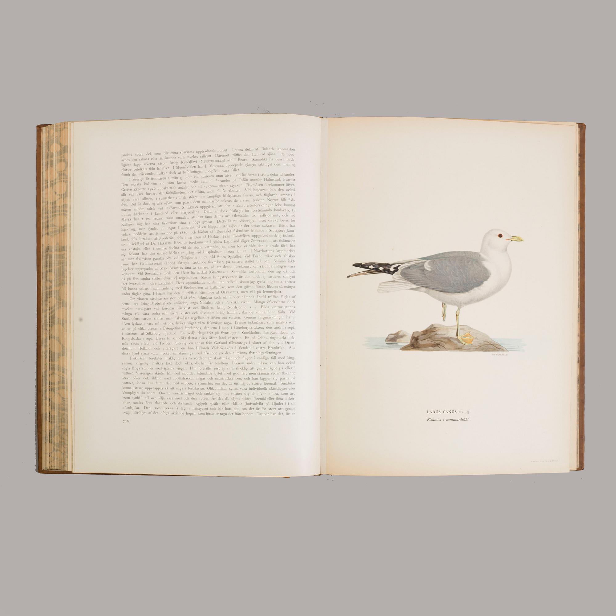 Three book "Svenska fåglar (Swedish birds)" with images by M, W & F VON WRIGHT, printed by Börtzells AB, 1924-1929.