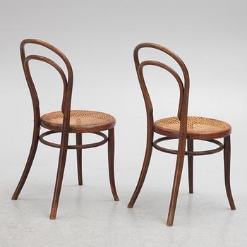 Chairs, 12 pcs, Thonet, first half of the 20th century.