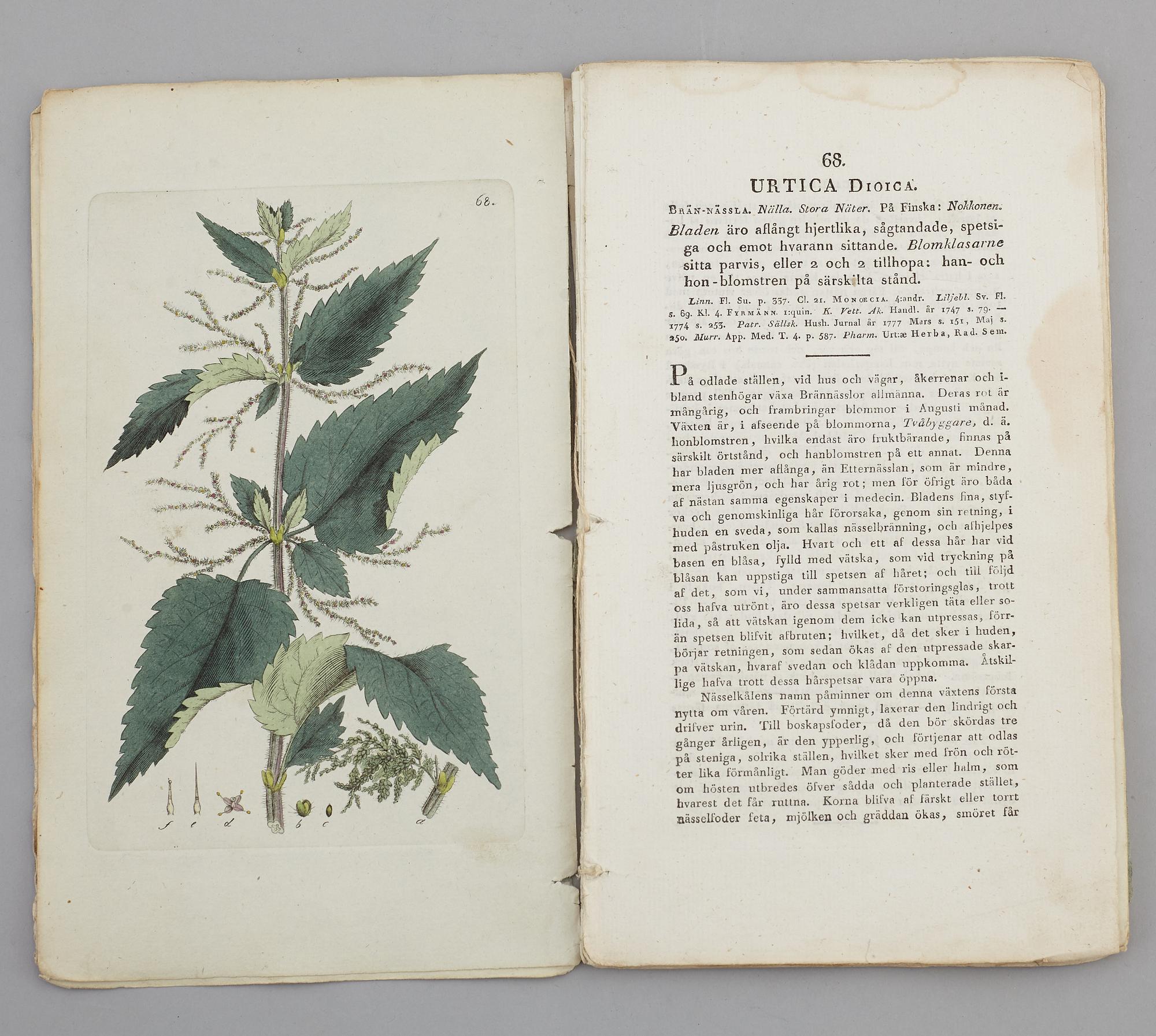 JOHAN WILHELM PALMSTRUCH, "Svensk Botanik, vol I-V. 1803-1805.