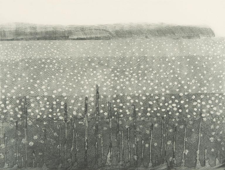 Evi Tihemets, "Soomaastik".