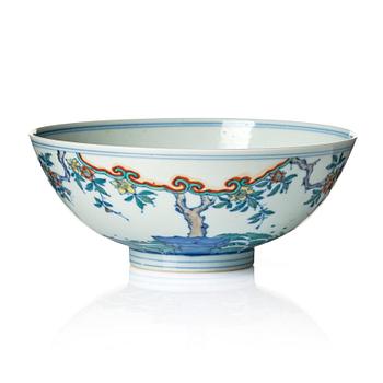 A doucai carp bowl, Qing dynasty, early 18th Century.