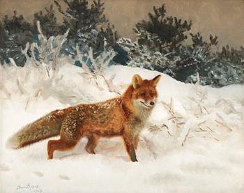 909. Bruno Liljefors, Fox in winter landscape.