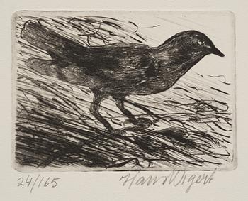 Hans Wigert, Bird.