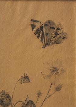 Ramar, ett  par, Sverige, tidigt 1800-tal, Empire, med blomsterstudier av Margareta Tröne (1804-1830).
