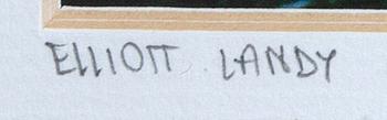 Elliott Landy, c-print signed and numbered 331.