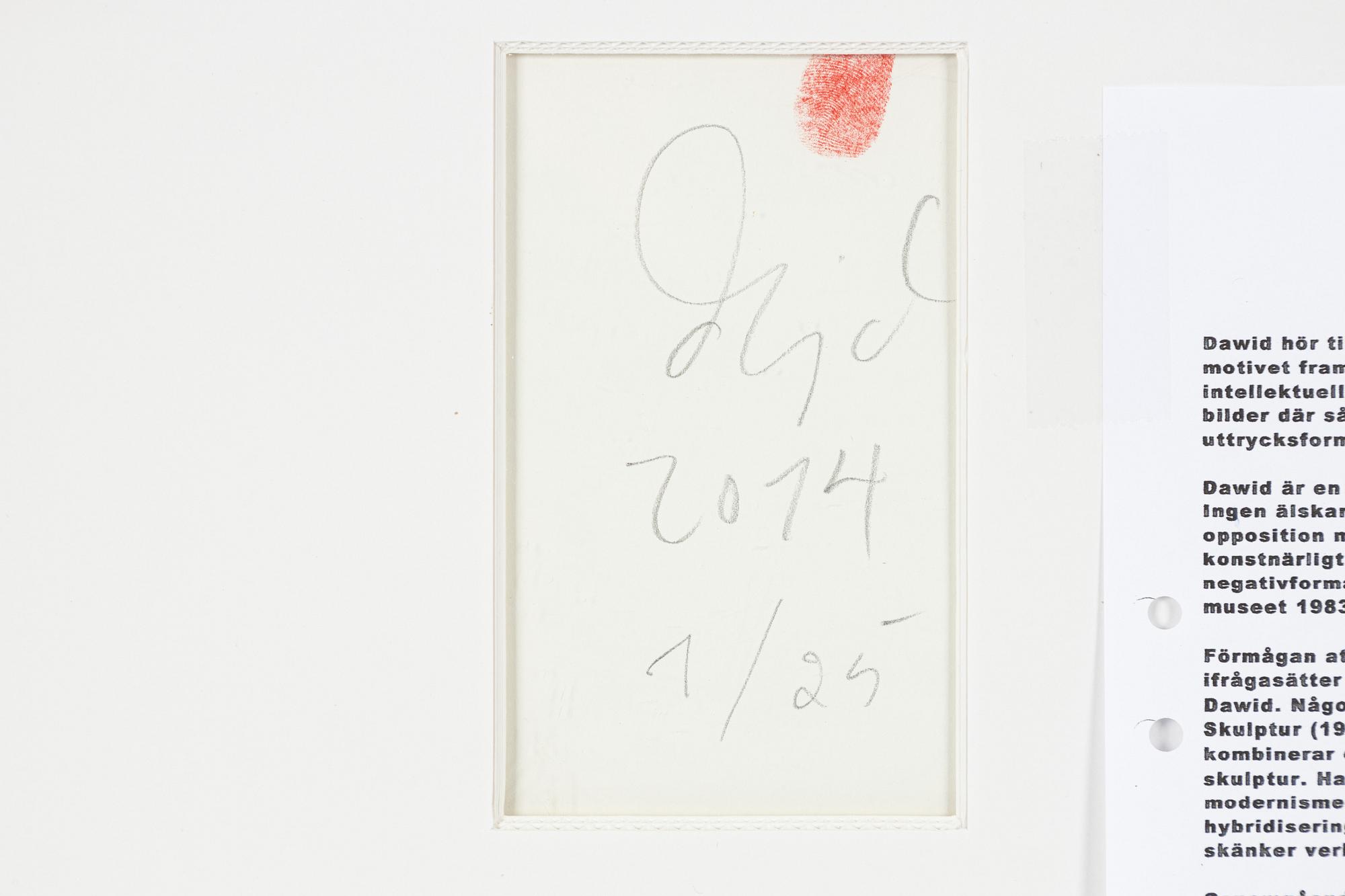 David, Untitled.