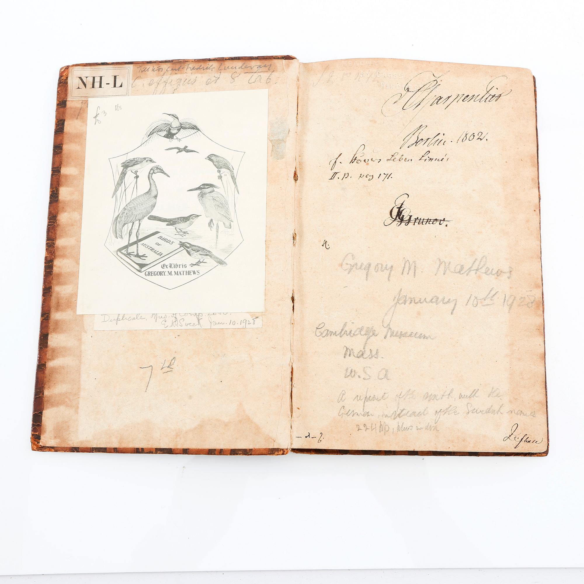 Carl von Linné, "Systema Naturae..." ,1748.