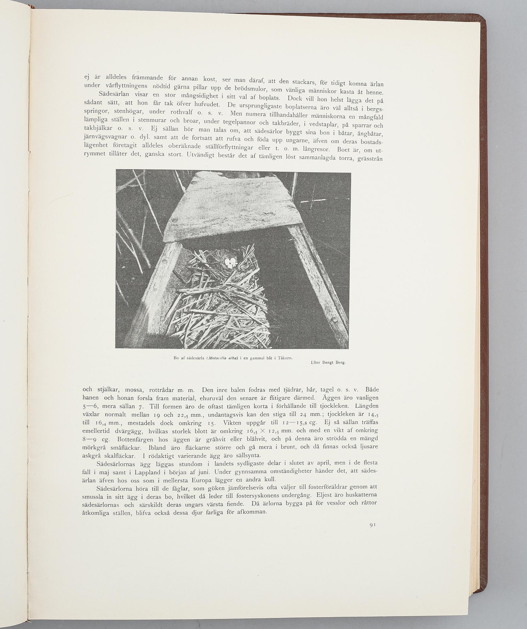 VON WRIGHT, "Svenska fåglar",