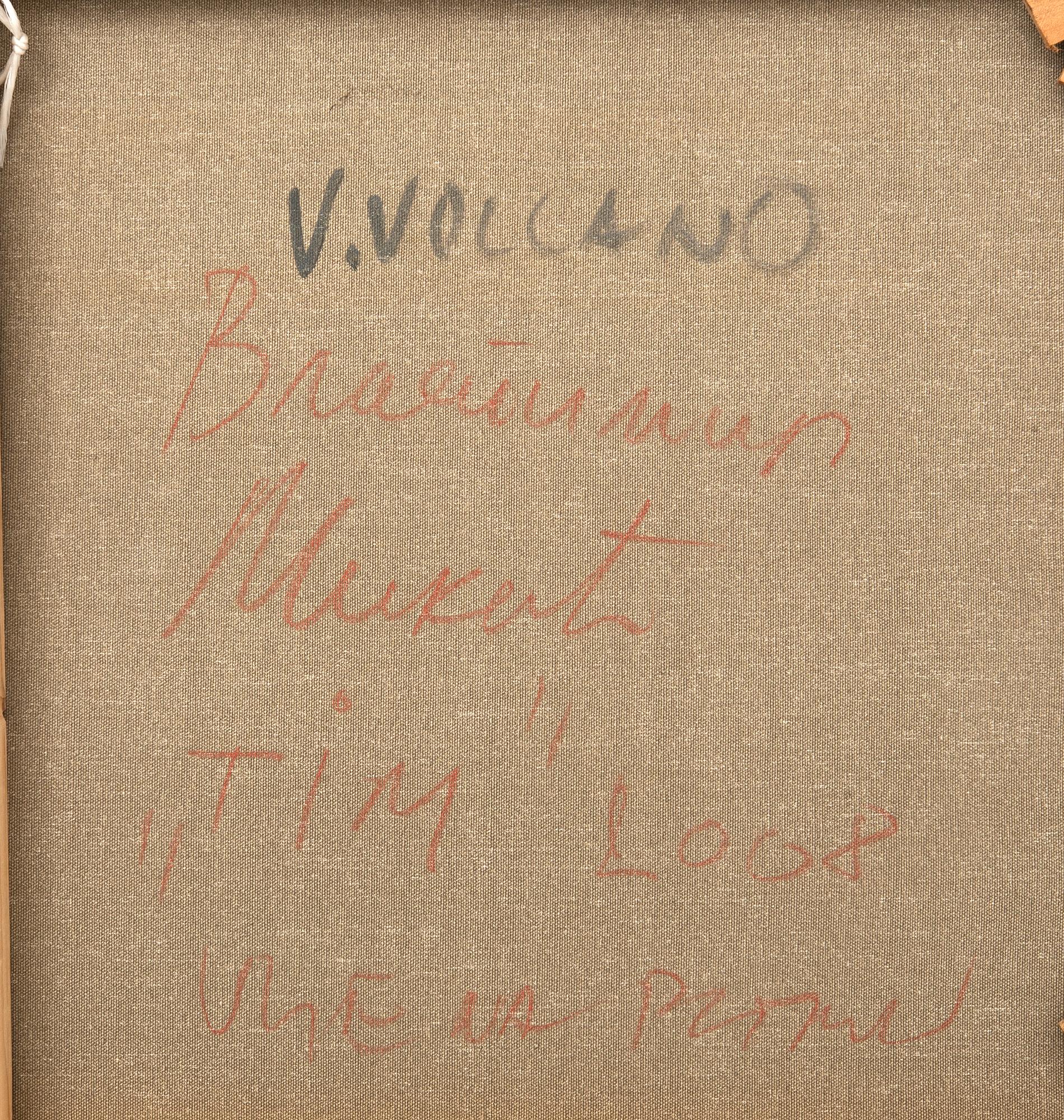Vlasta Volcano, "Tim".