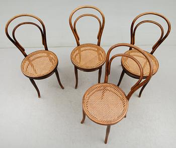 STOLAR, 4 st, Thonet, 1900-talets början.