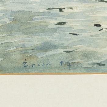 Stanislaw Zoladz, Water Reflection.