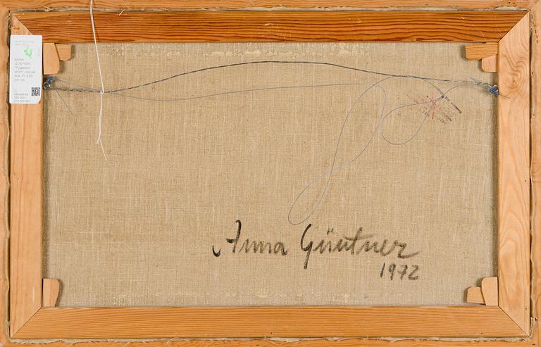 Anna Güntner, Flight shows.