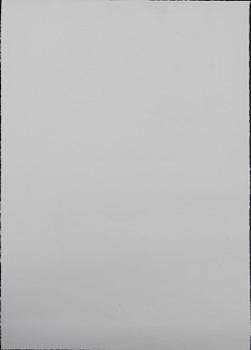 Mr Brainwash (Thierry Guetta), Mr Brainwash, "Obama Superman".