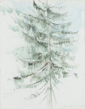 Aimo Kanerva, Kuusi.