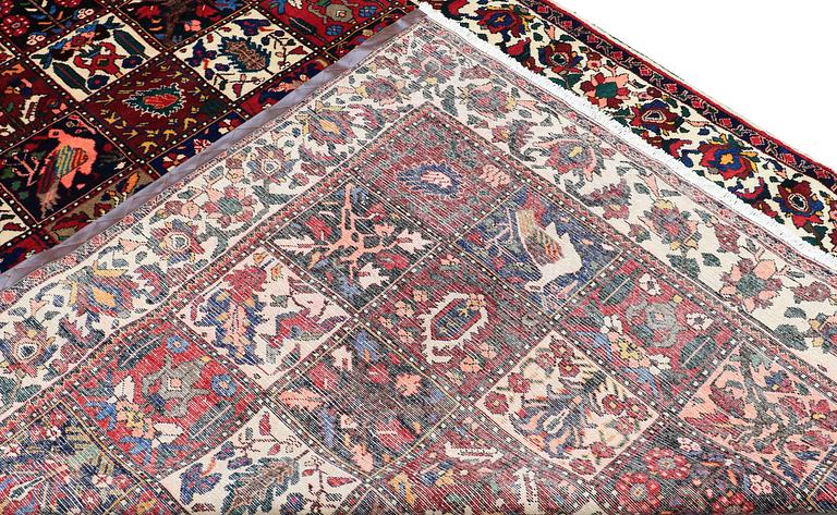 MATTA, Bakhtiari, ca 305 x 210 cm.