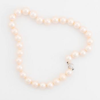 A cultured fresh water pearl necklace.