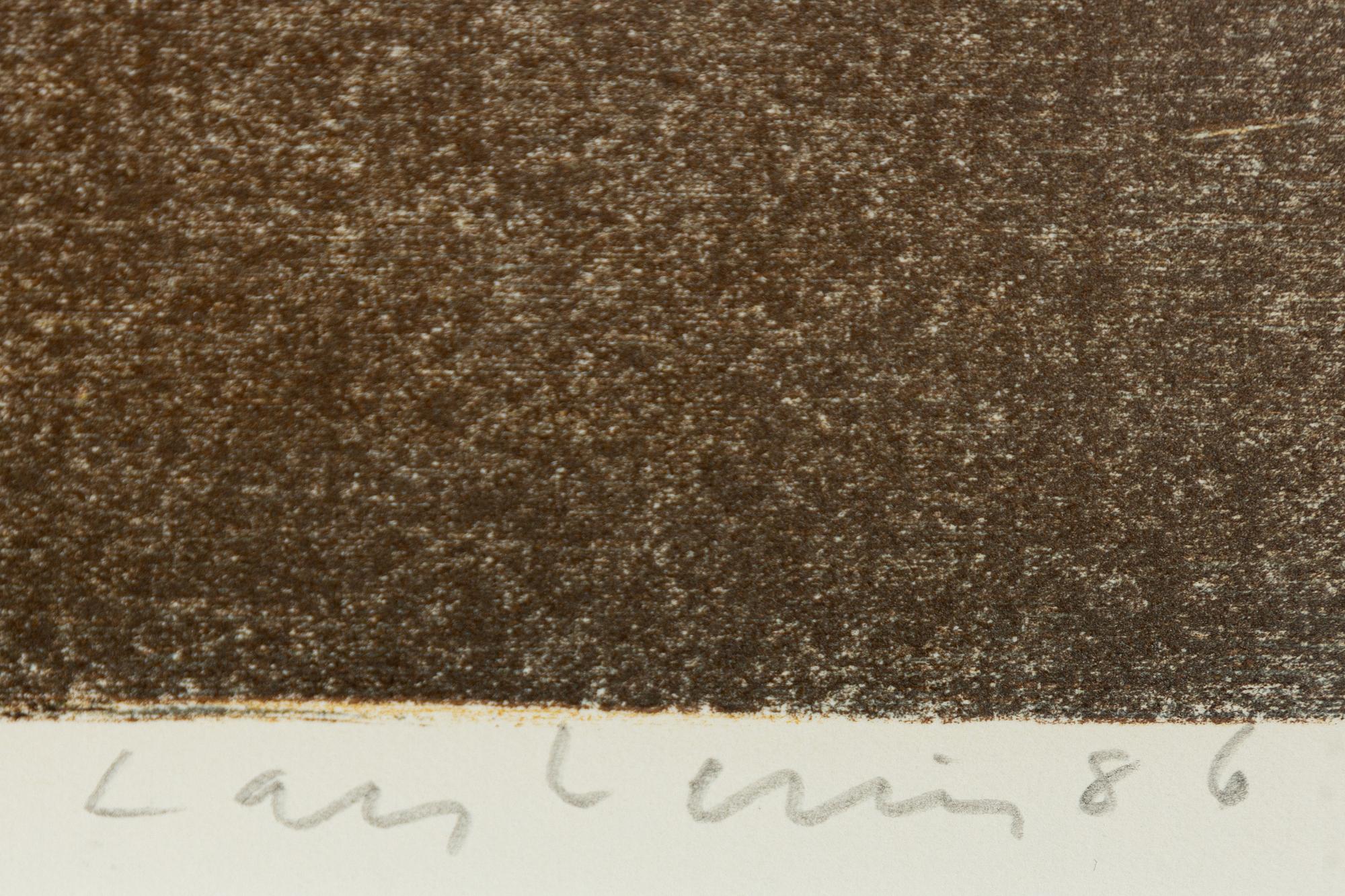 Lars Lerin, Mostrarnas minne.