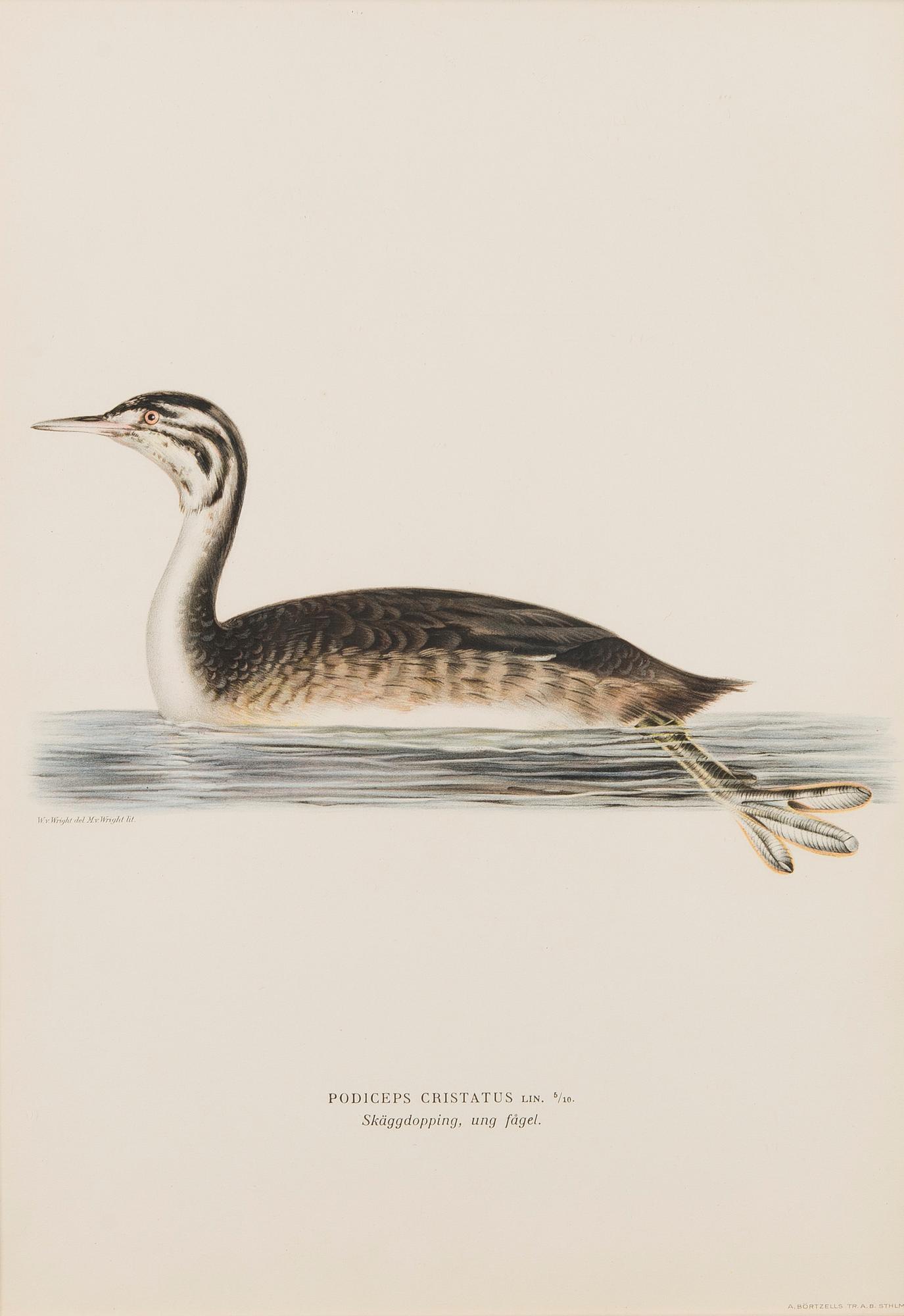 LITOGRAFIER, 5 st, efter Wilhelm von Wright och Bror Hallberg. A. Börtzell, Stockholm.