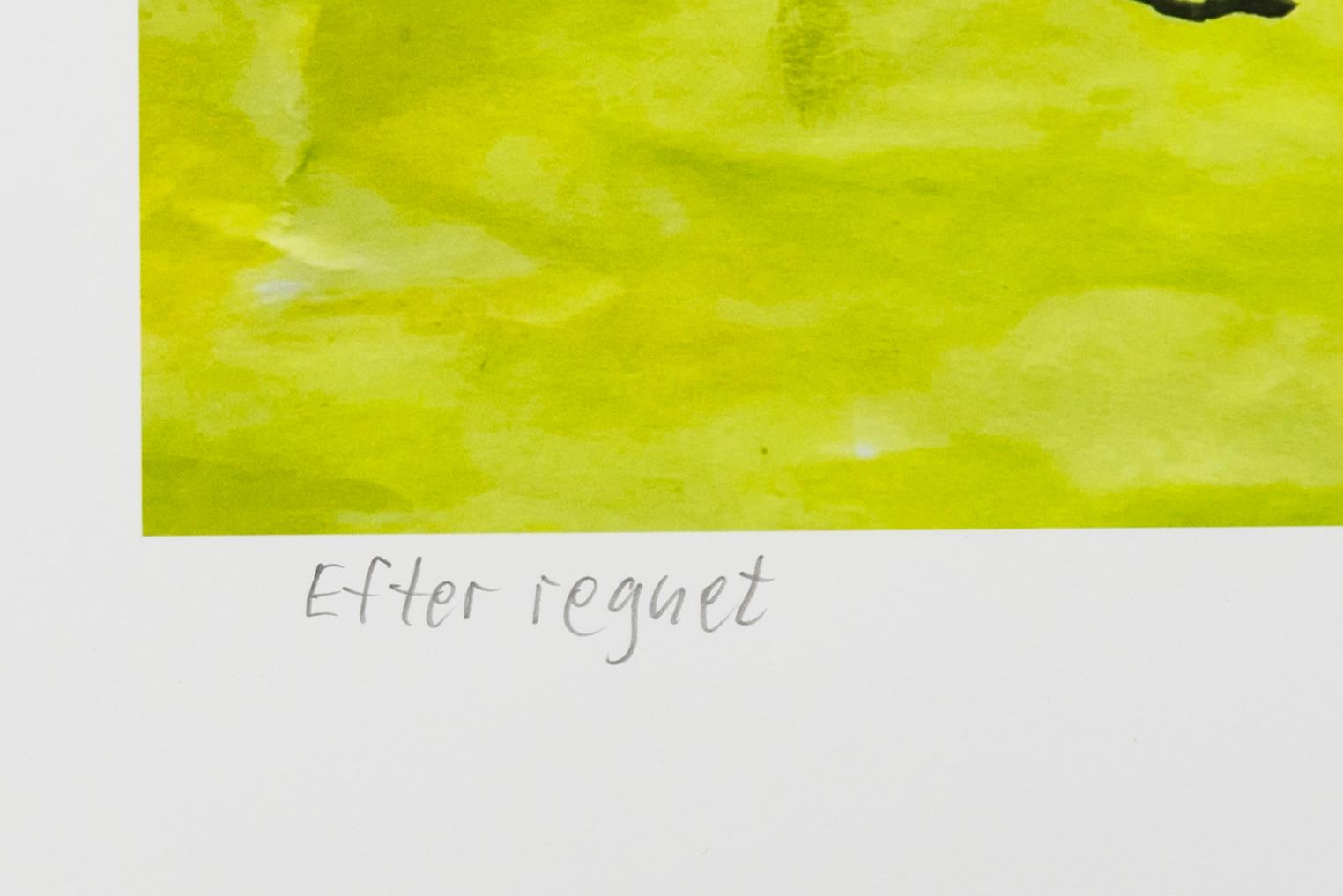 Carl Johan De Geer, "Efter regnet".