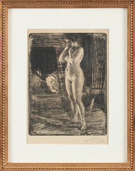 Anders Zorn, "Första séancen".