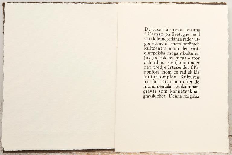 Richard Årlin, "Menhirer".