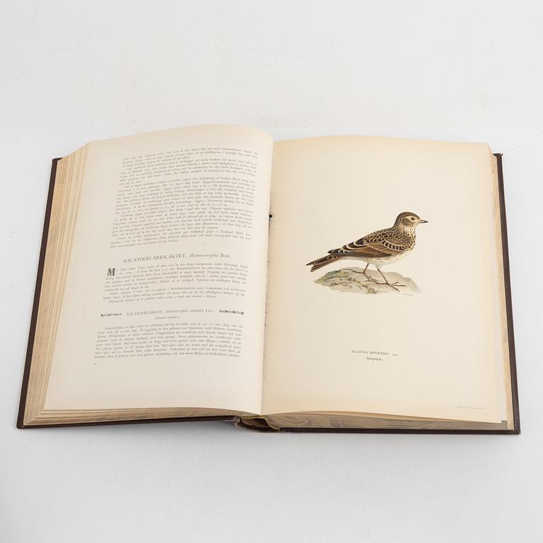 The Wright Brothers, book work, 3 vols "Swedish Birds", 2nd edition. A. Börtzells tryckeri AB, Stockholm, 1927-1929.