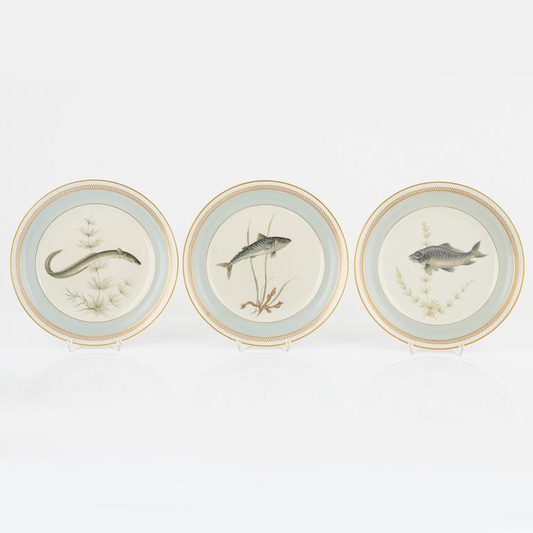 Royal Copenhagen, plates, 11 pcs, porcelain, "Fauna Danica".