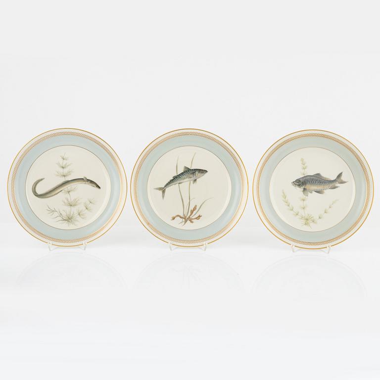 Royal Copenhagen, plates, 11 pcs, porcelain, "Fauna Danica".