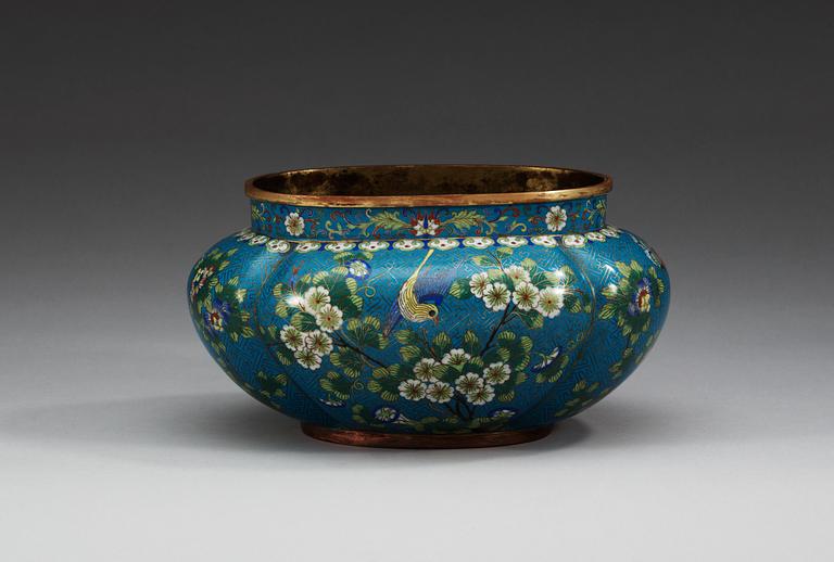 JARDINIERE, cloisonné. Qing dynastin, 1800-tal.