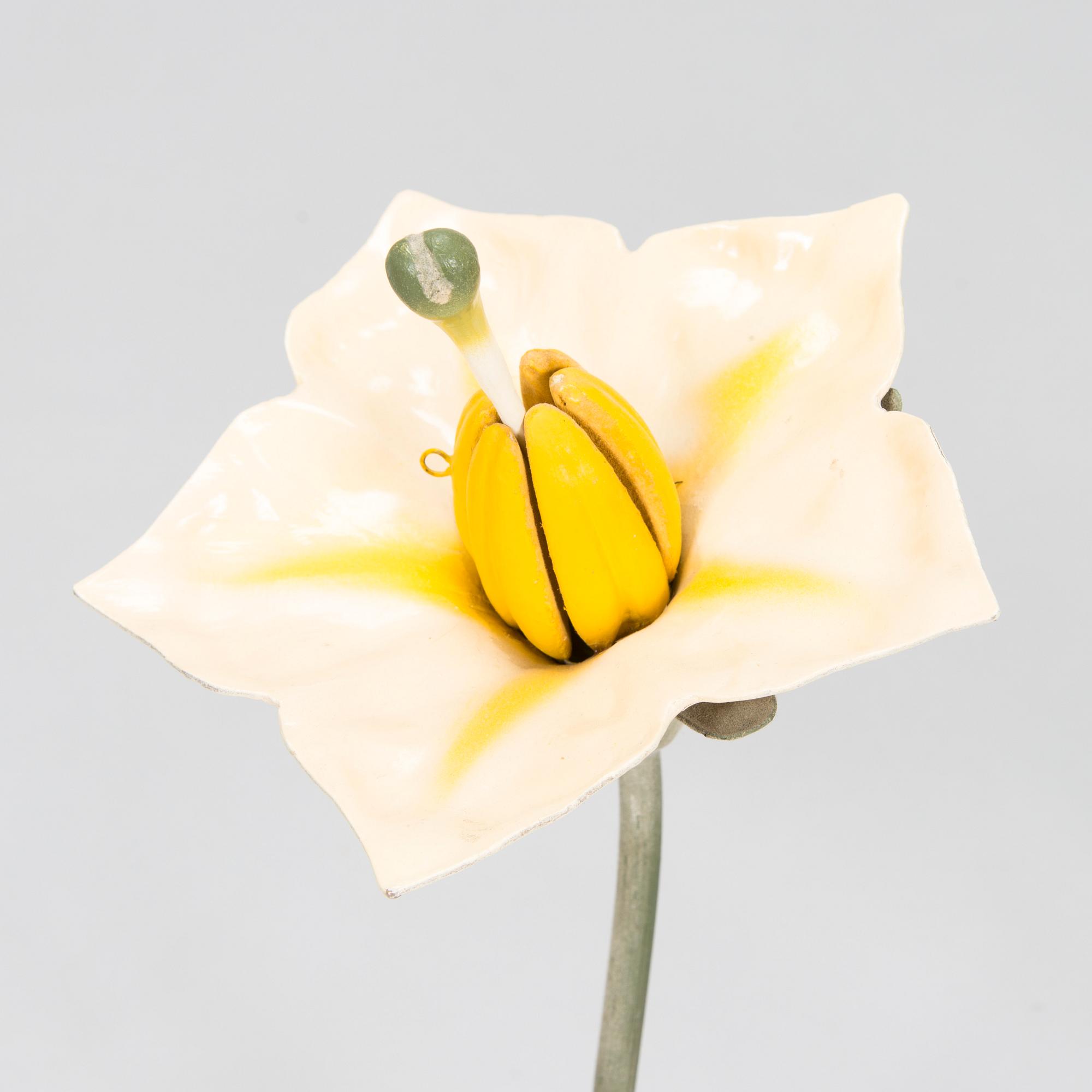Robert Brendel & Carl Leopold Lohmeyer, A set of 4 educational materials / sculptures, "Botanic Flowers" by R. Bredel. Poland, turn of the 20th century.