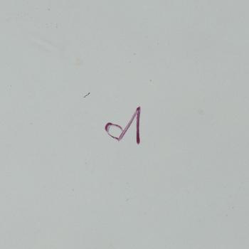 A pair of Rococo style plates, Veuve Perrin style, France, 20th Century.