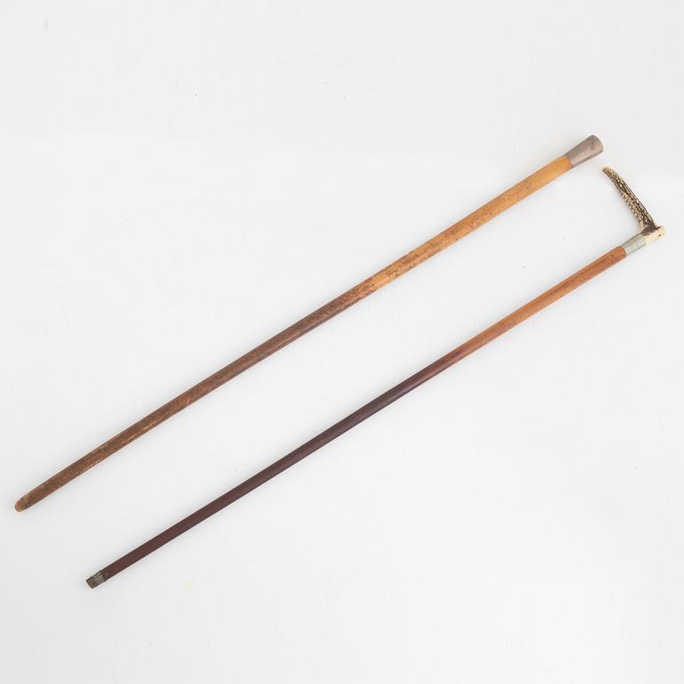 Cane, 2 pcs, von Rosen, 1895-1901.