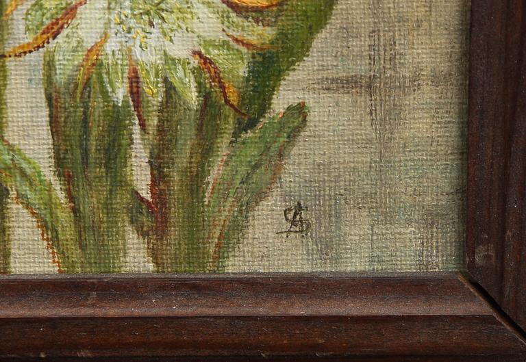 OKÄND KONSTNÄR, olja på duk på pannå, monogram sign SA.