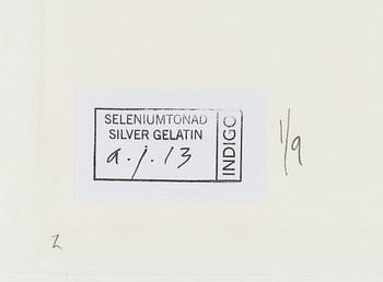 Lennart Nilsson,  "Isbjörnsjakt vid Hvitøya (Vitön), Svalbard, Norge 1947".