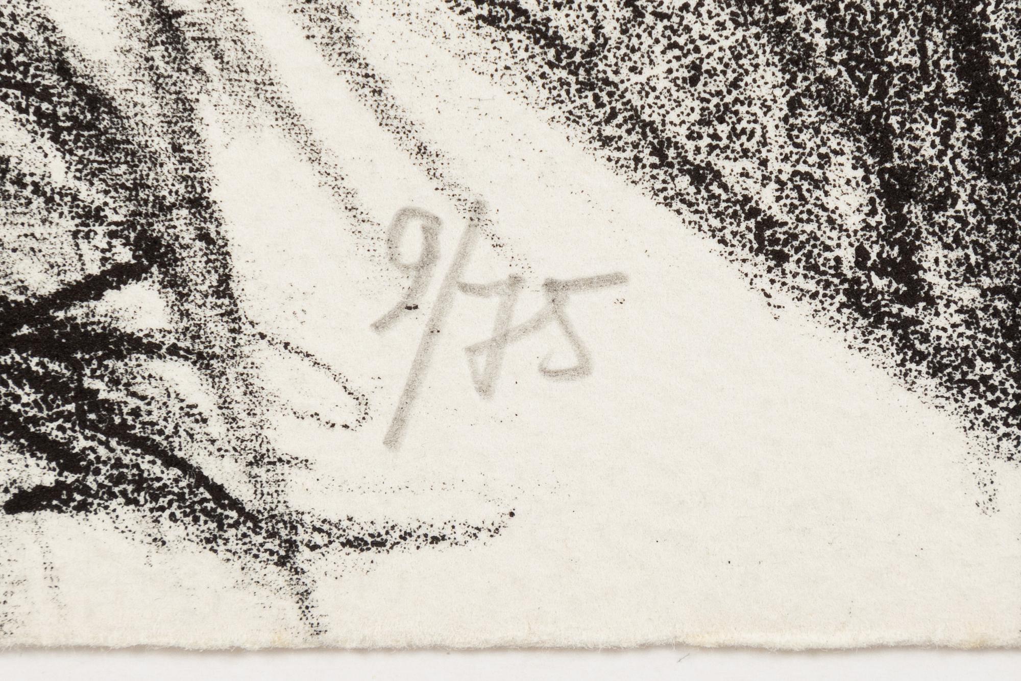 Djuric Miodrag Dado, 12 stycken litografier med mapp. Samtliga signerade och numrerade 9/75.