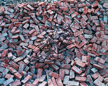 249. Liu Bolin, "Hiding in the City, 87".