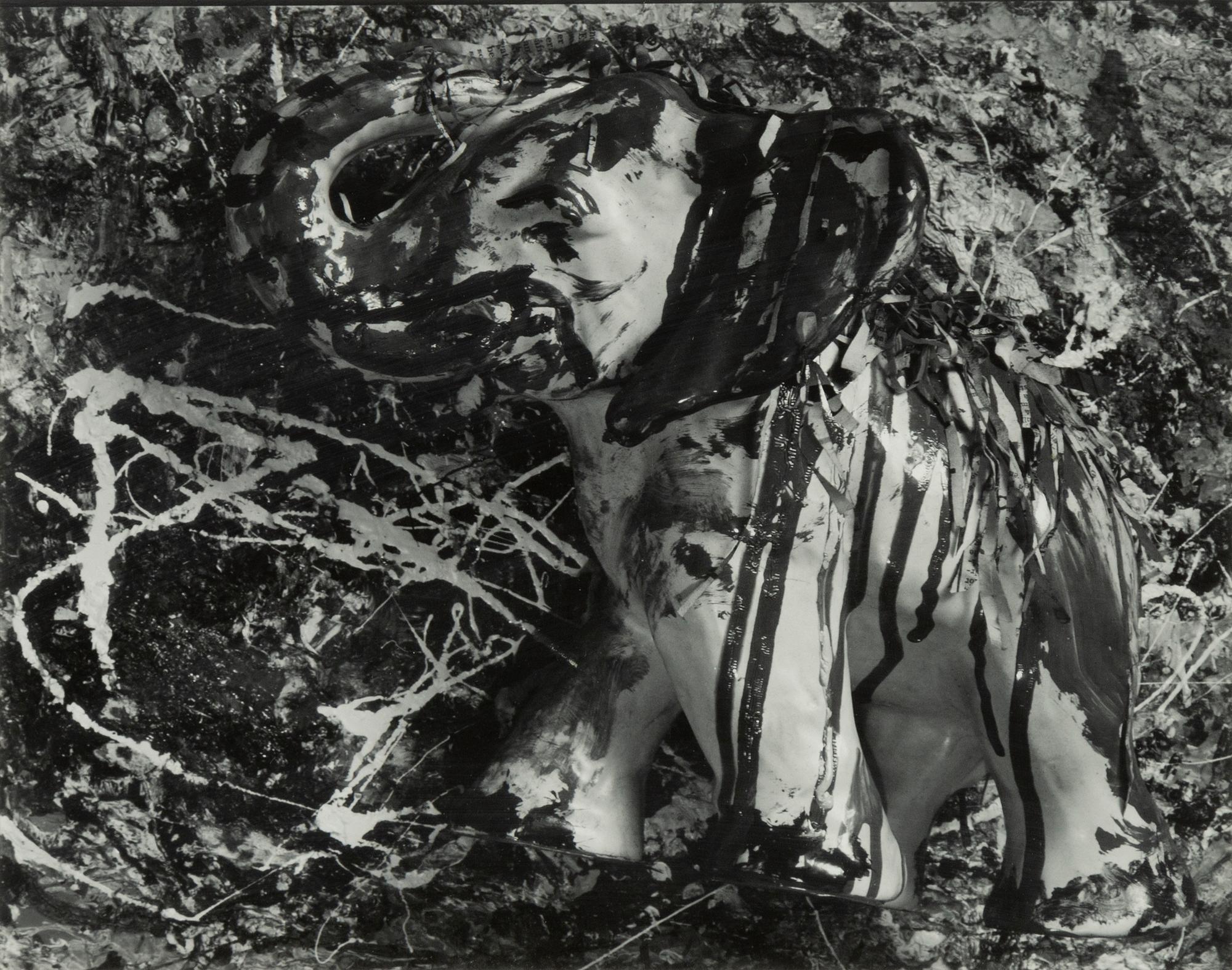 Dawid, photograph signed and dated verso, signed.
