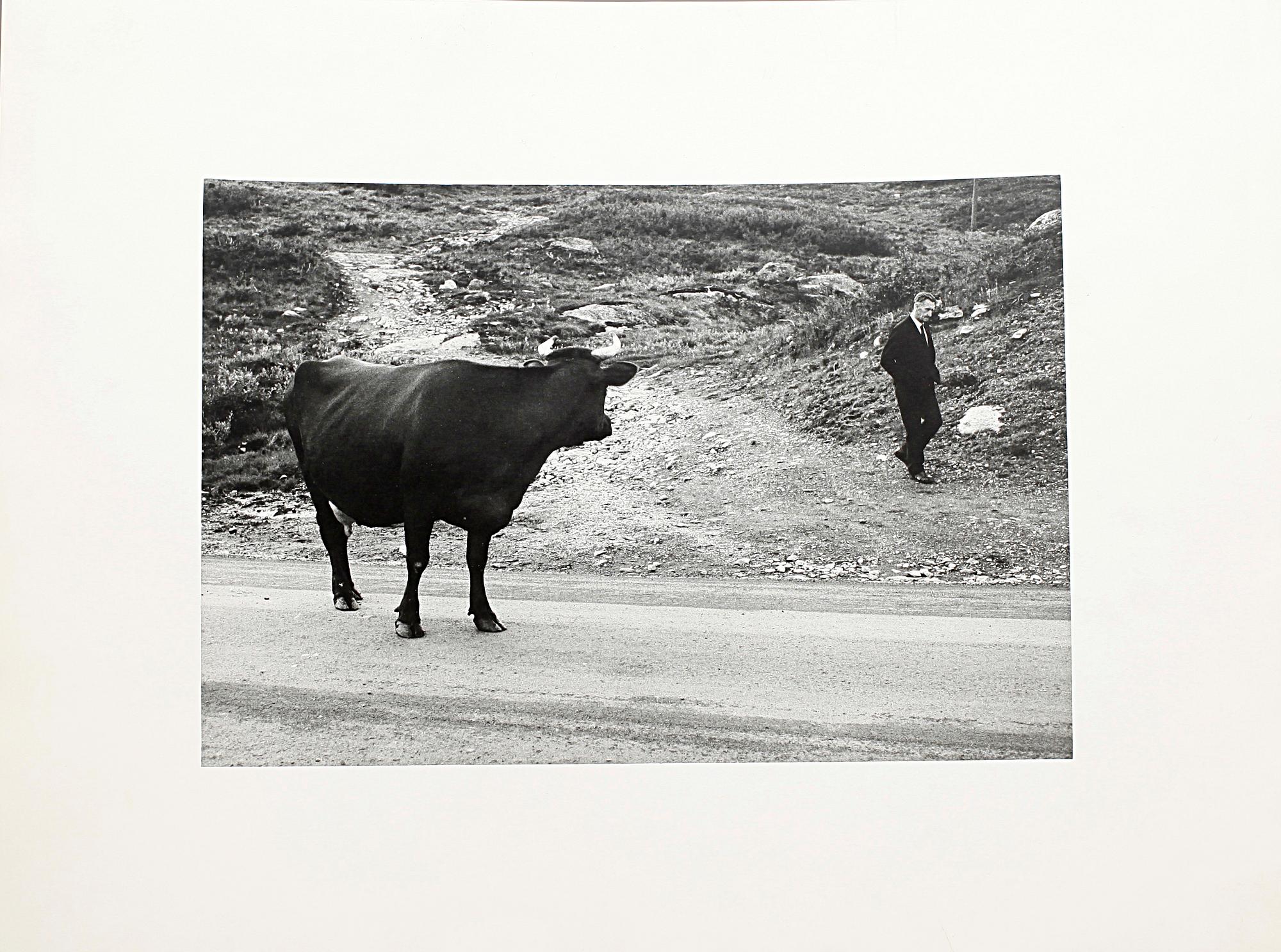 HANS MALMBERG, fotografi, stämplad á tergo.