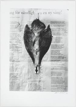 Hans Gedda, Stilleben med fisk, 1983.