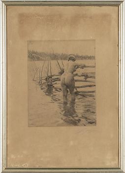 Anders Zorn, "Gärdesgård".