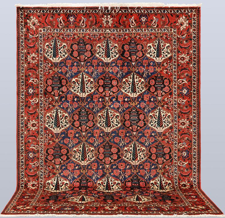 Matta, Baktiari, 300 x 212 cm.