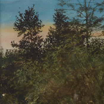 Ola Billgren, "Skog".