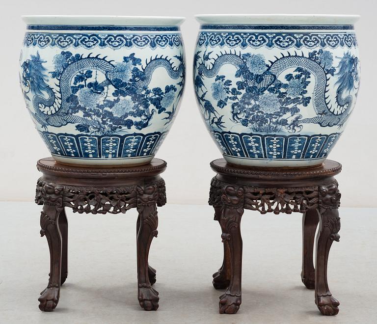 A pair of large blue and white fish basins/flower pots, late Qing dynasty, circa 1900.